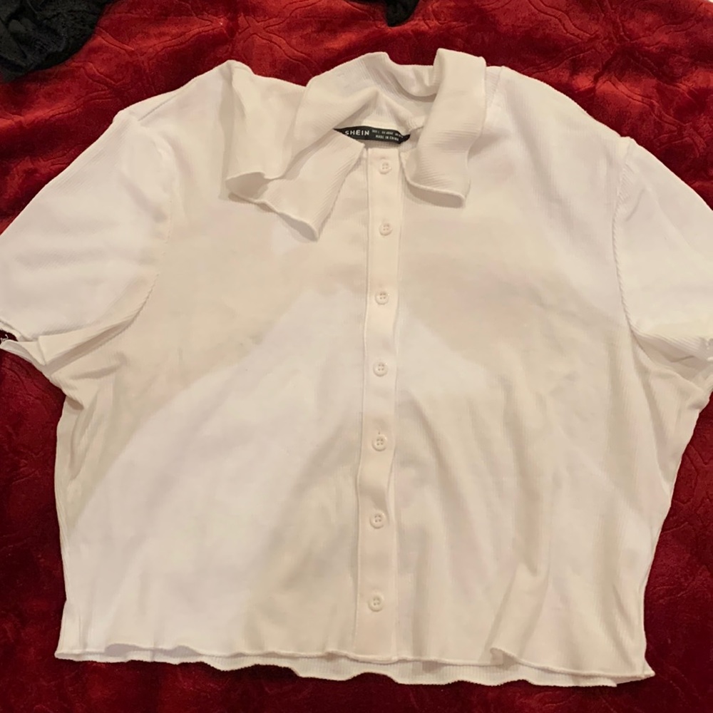 white collar crop top